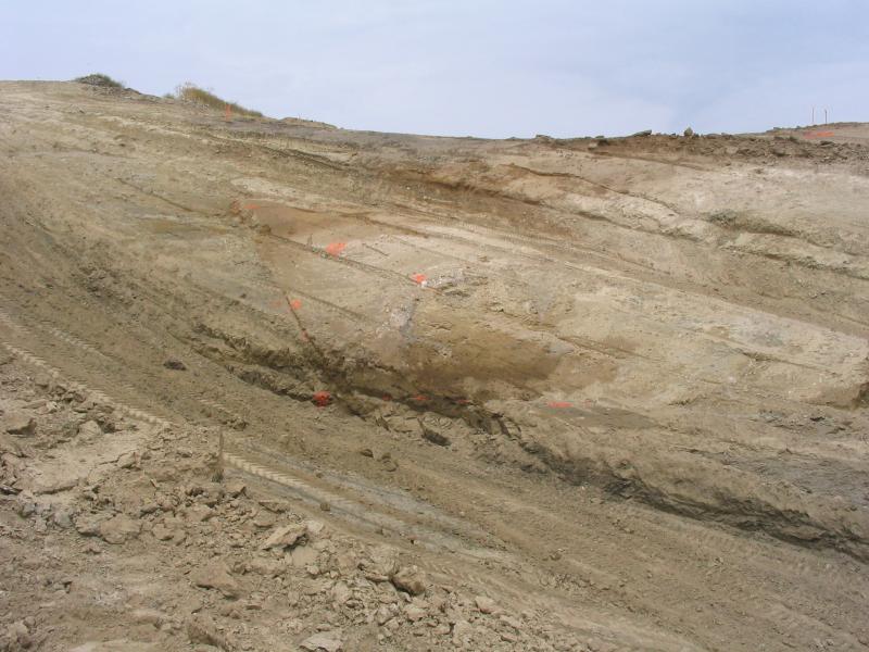 Pleistocene block slide graben infil